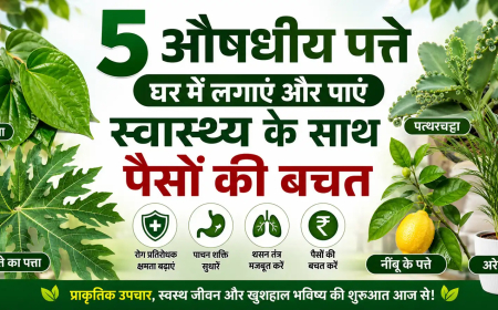 5 औषधीय पत्ते जिन्हें घर में लगाकर आप स्वास्थ्य और पैसे दोनों बचा सकते हैं