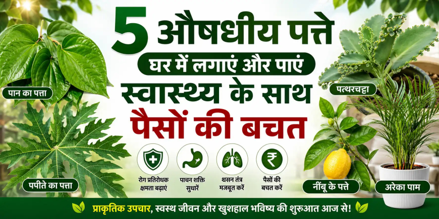 5 औषधीय पत्ते जिन्हें घर में लगाकर आप स्वास्थ्य और पैसे दोनों बचा सकते हैं